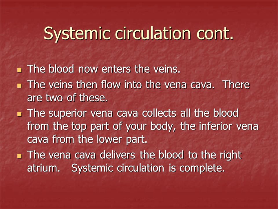 Systemic circulation cont. The blood now enters the veins.