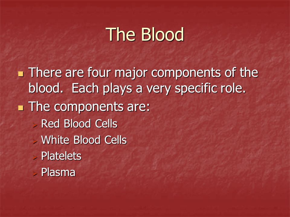 The Blood There are four major components of the blood.