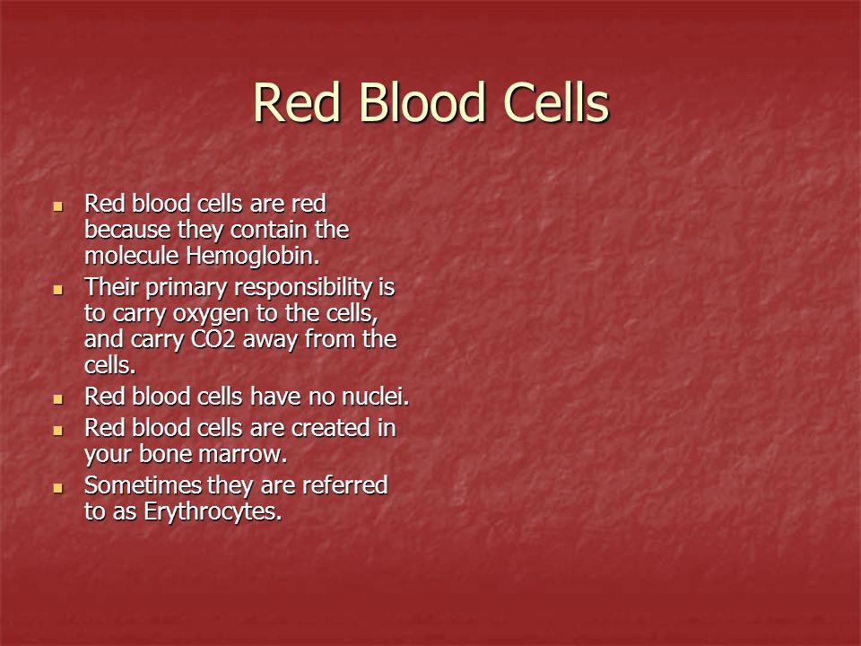 Red Blood Cells Red blood cells are red because they contain the molecule Hemoglobin.