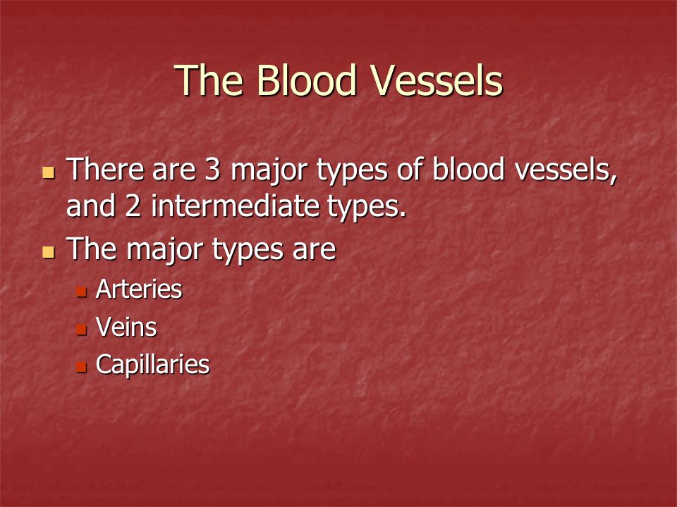 The Blood Vessels There are 3 major types of blood vessels, and 2 intermediate types.