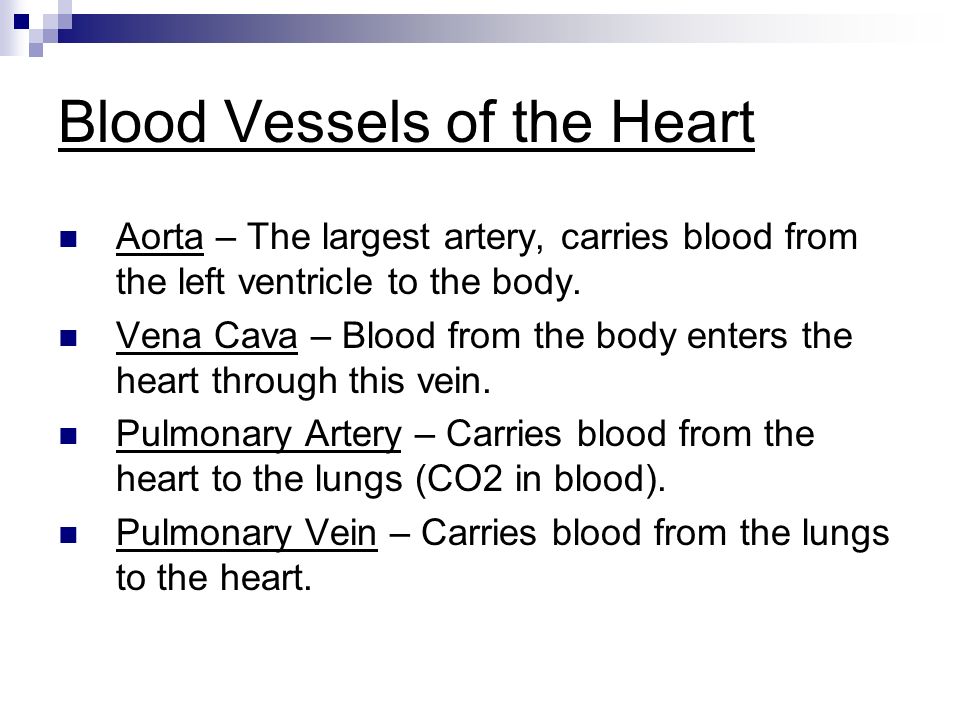 Blood Vessels of the Heart Aorta – The largest artery, carries blood from the left ventricle to the body.