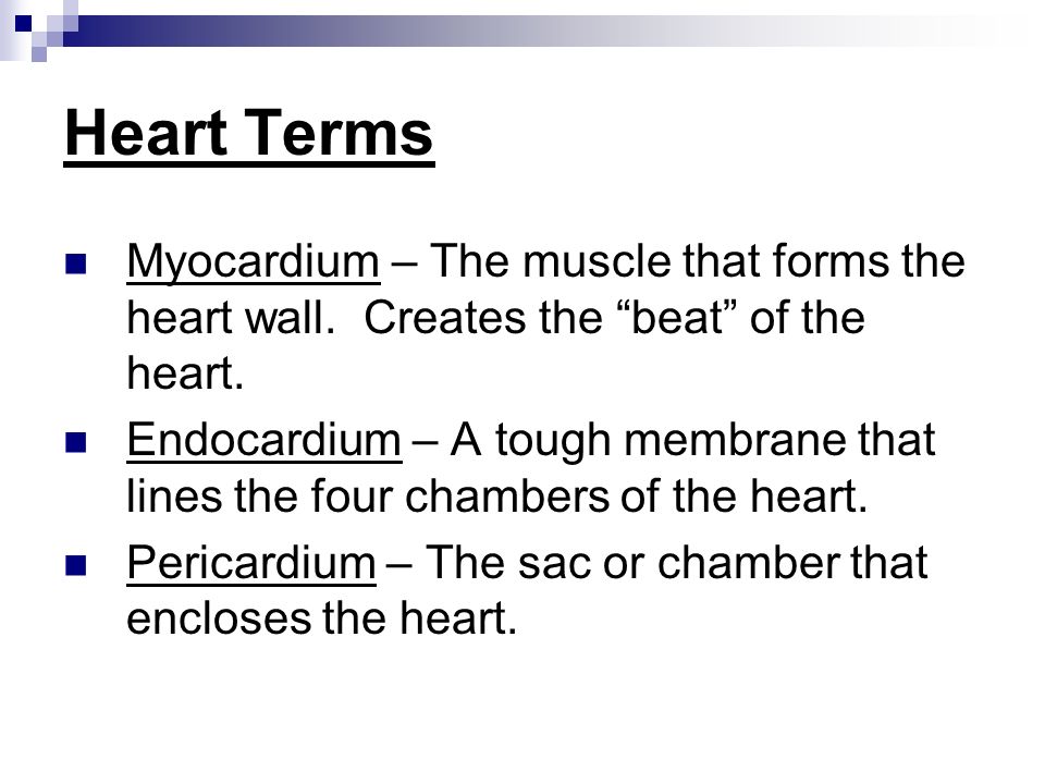 Heart Terms Myocardium – The muscle that forms the heart wall.
