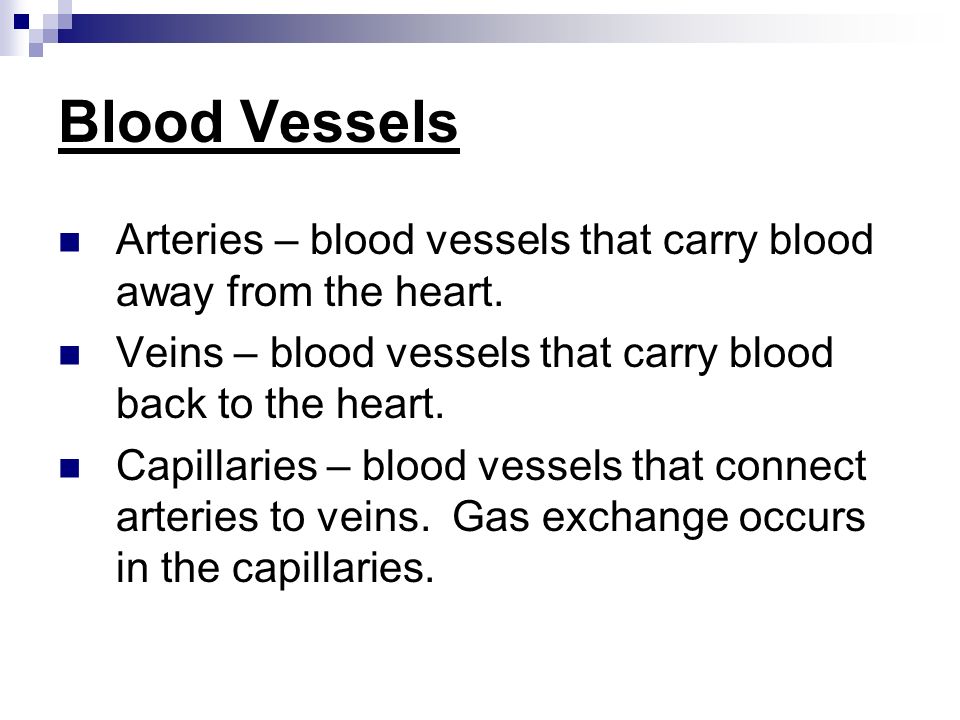 Blood Vessels Arteries – blood vessels that carry blood away from the heart.