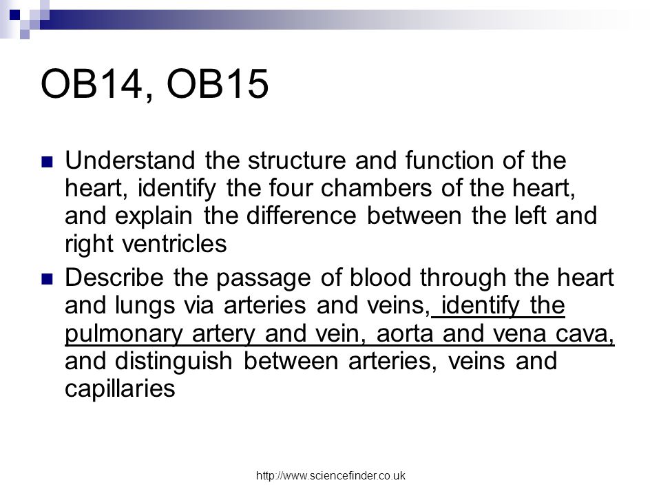 OB14, OB15 Understand the structure and function of the heart, identify the four chambers of the heart, and explain the difference between the left and right ventricles Describe the passage of blood through the heart and lungs via arteries and veins, identify the pulmonary artery and vein, aorta and vena cava, and distinguish between arteries, veins and capillaries