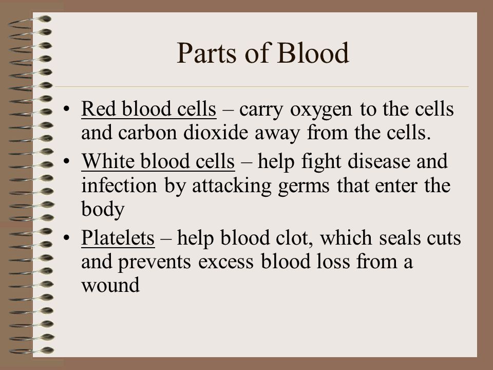 Blood A mixture of solids in a large amount of liquid called plasma BLOOD Red blood cells White blood cells Platelets Plasma –Is about 92% water