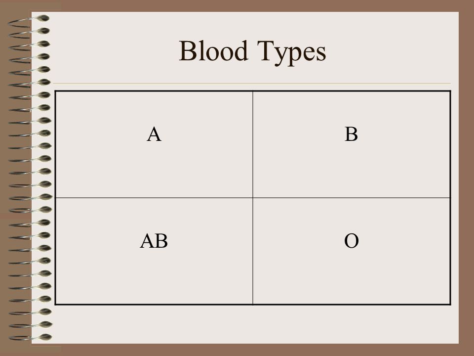 More about Blood Blood is essential to life Your blood is not the same as everyone else’s Blood transfusions –Blood must match –Mixing blood could have serious side effects High fevers, difficulty breathing, and even death