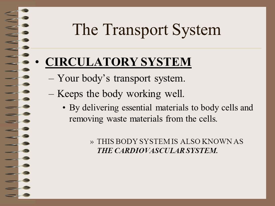 YOUR CIRCULATORY SYSTEM How does it work. Why does a doctor check your pulse and blood pressure.