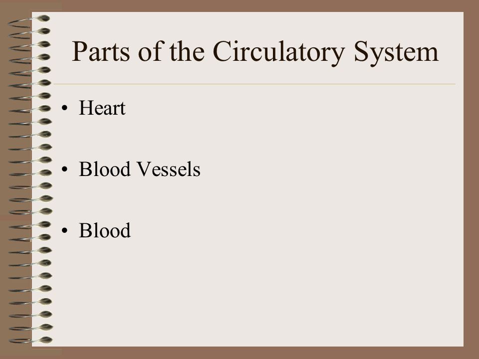 How the Circulatory System works Blood carries substances through Circulatory System Organs serve as transfer stations –Blood picks up nutrients and delivers them to cells Wastes and removes them from body