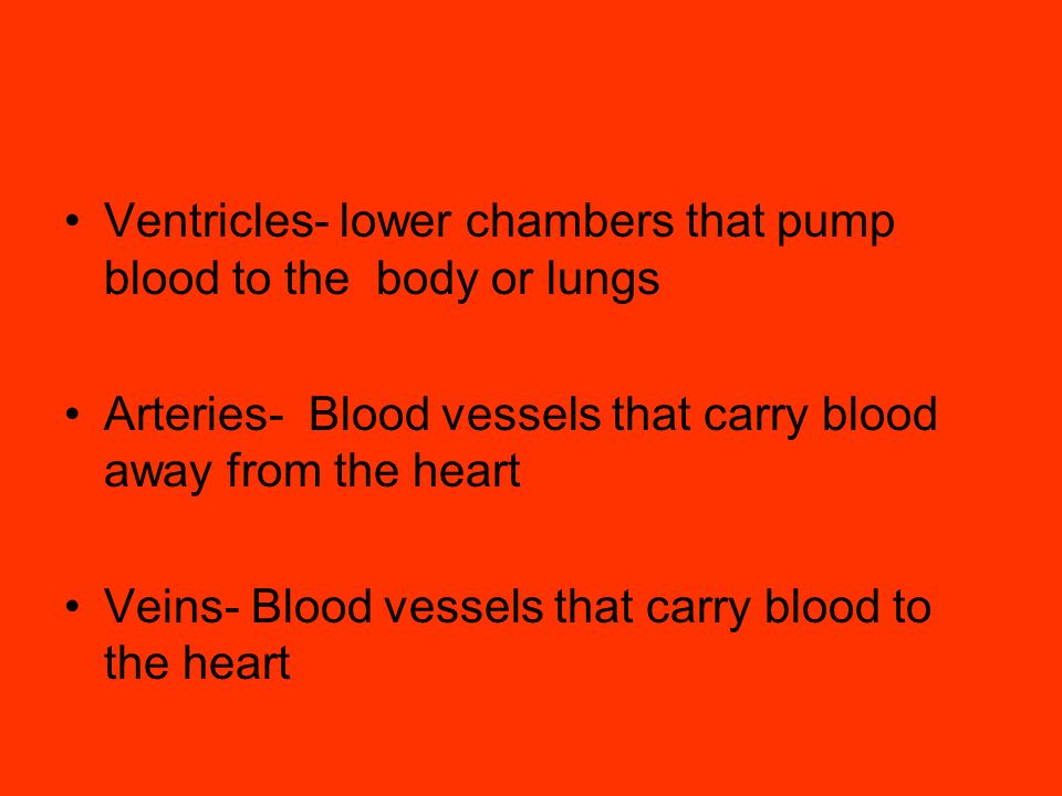 Ventricles- lower chambers that pump blood to the body or lungs Arteries- Blood vessels that carry blood away from the heart Veins- Blood vessels that carry blood to the heart
