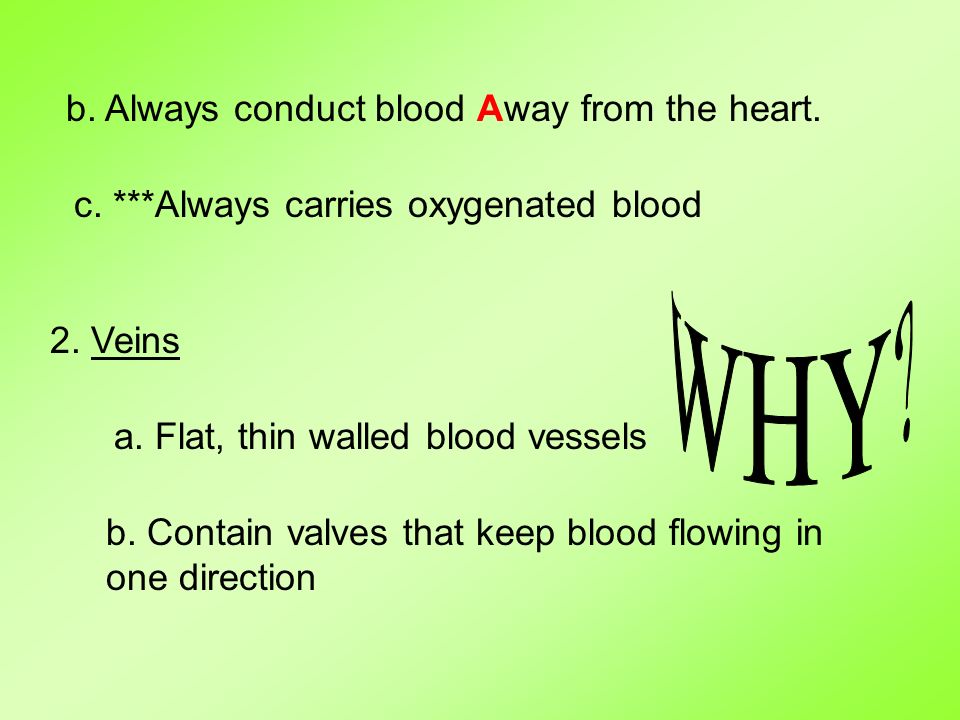 b. Always conduct blood Away from the heart. c. ***Always carries oxygenated blood 2.
