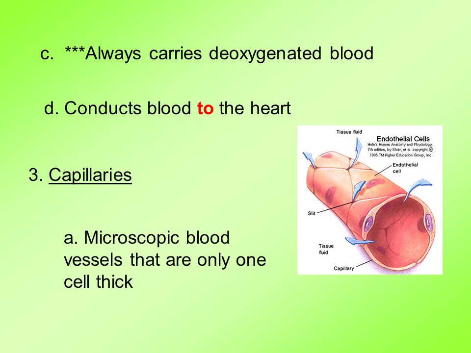 c. ***Always carries deoxygenated blood d. Conducts blood to the heart 3.
