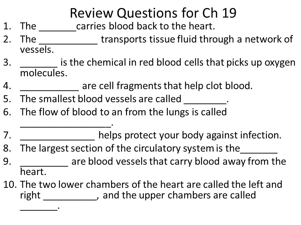 Review Questions for Ch 19 1.The _______carries blood back to the heart.