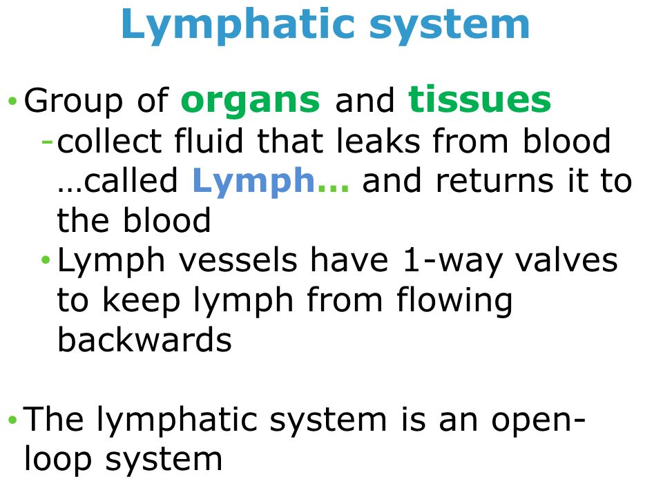 Group of organs and tissues -collect fluid that leaks from blood …called Lymph… and returns it to the blood Lymph vessels have 1-way valves to keep lymph from flowing backwards The lymphatic system is an open- loop system Lymphatic system
