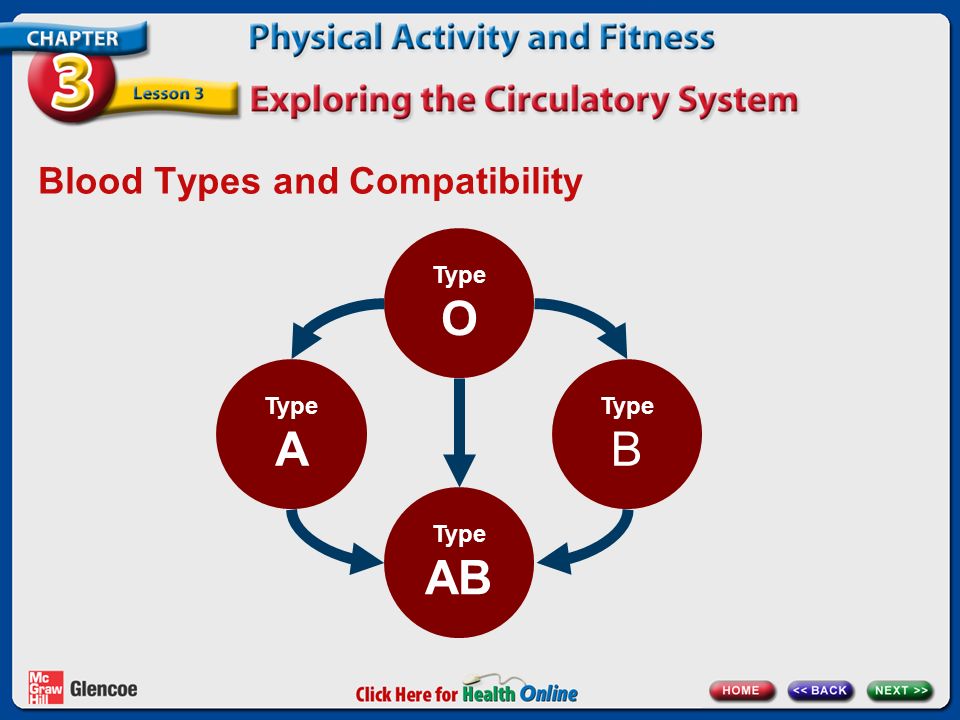 Blood Types and Compatibility Type O Type A Type B Type AB