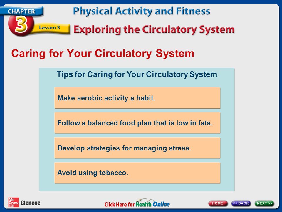 Caring for Your Circulatory System Tips for Caring for Your Circulatory System Make aerobic activity a habit.