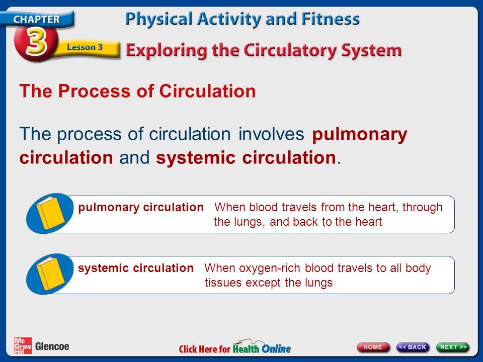 The Process of Circulation The process of circulation involves pulmonary circulation and systemic circulation.