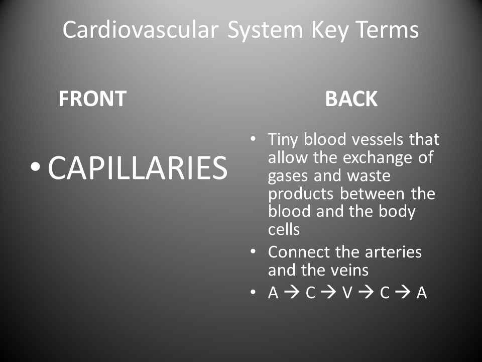 Cardiovascular System Key Terms FRONT CAPILLARIES BACK Tiny blood vessels that allow the exchange of gases and waste products between the blood and the body cells Connect the arteries and the veins A  C  V  C  A