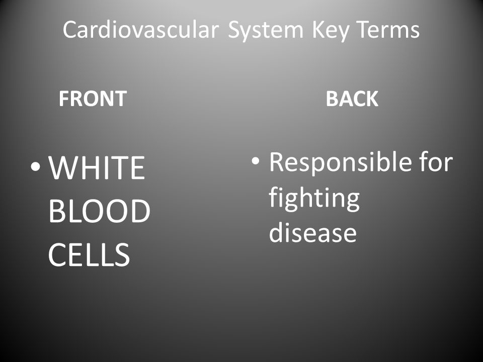 Cardiovascular System Key Terms FRONT WHITE BLOOD CELLS BACK Responsible for fighting disease