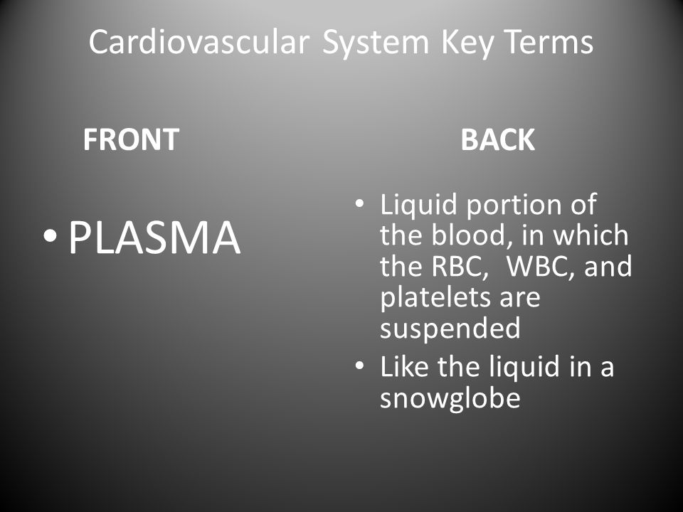 Cardiovascular System Key Terms FRONT PLASMA BACK Liquid portion of the blood, in which the RBC, WBC, and platelets are suspended Like the liquid in a snowglobe