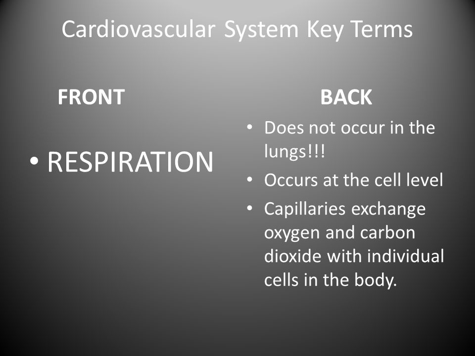 Cardiovascular System Key Terms FRONT RESPIRATION BACK Does not occur in the lungs!!.