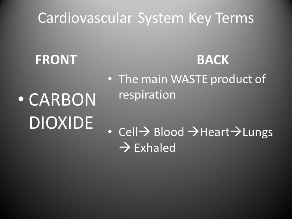 Cardiovascular System Key Terms FRONT CARBON DIOXIDE BACK The main WASTE product of respiration Cell  Blood  Heart  Lungs  Exhaled