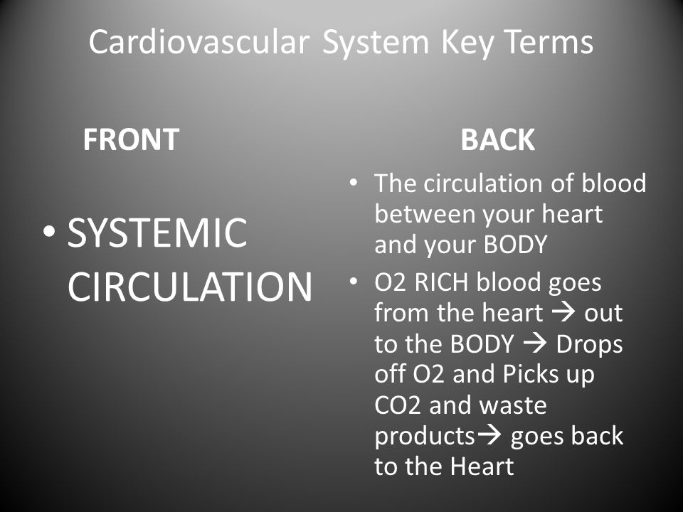 Cardiovascular System Key Terms FRONT SYSTEMIC CIRCULATION BACK The circulation of blood between your heart and your BODY O2 RICH blood goes from the heart  out to the BODY  Drops off O2 and Picks up CO2 and waste products  goes back to the Heart