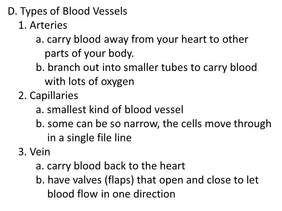 D. Types of Blood Vessels 1. Arteries a.