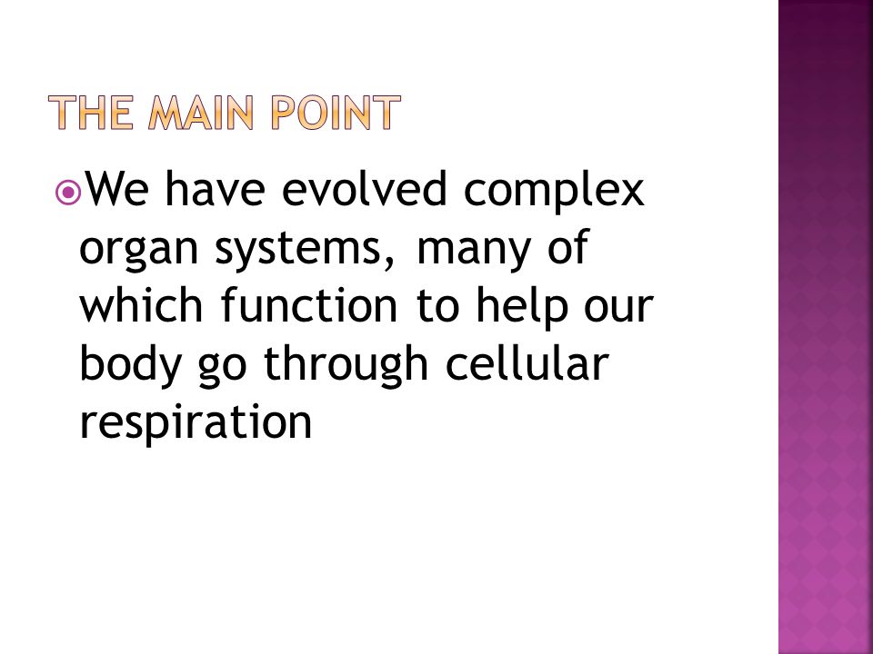  We have evolved complex organ systems, many of which function to help our body go through cellular respiration
