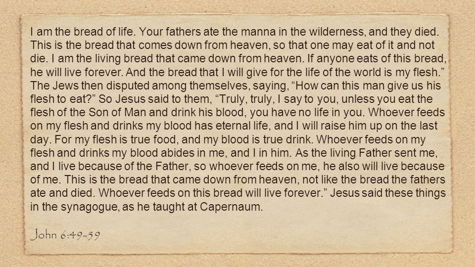 I am the bread of life. Your fathers ate the manna in the wilderness, and they died.