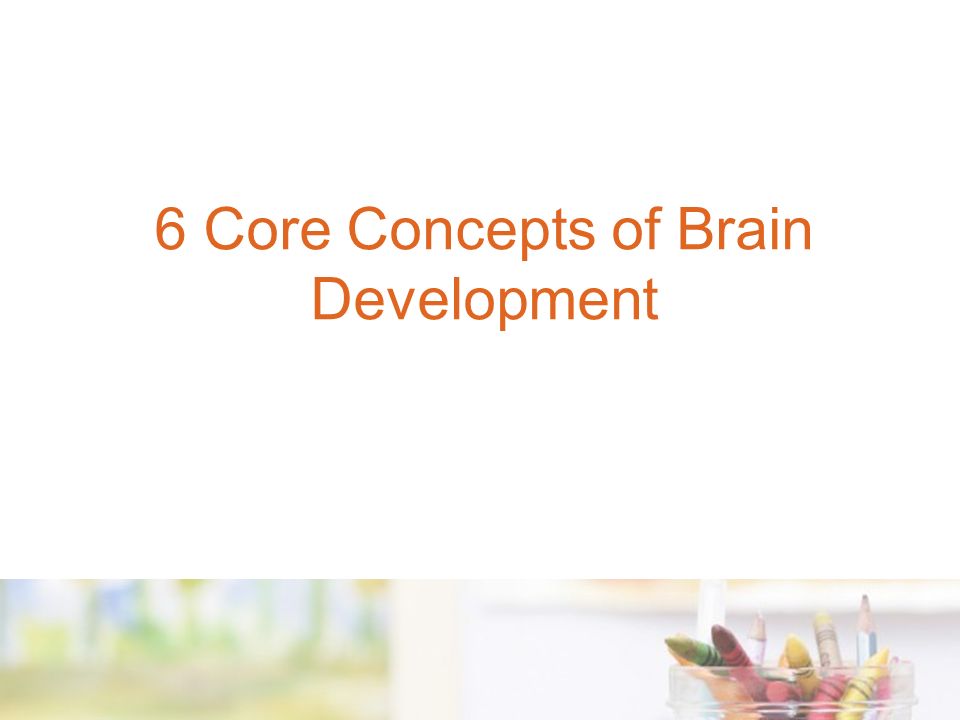 6 Core Concepts of Brain Development