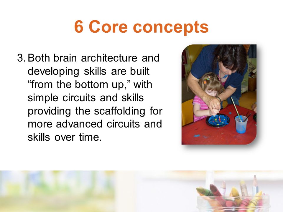 3.Both brain architecture and developing skills are built from the bottom up, with simple circuits and skills providing the scaffolding for more advanced circuits and skills over time.