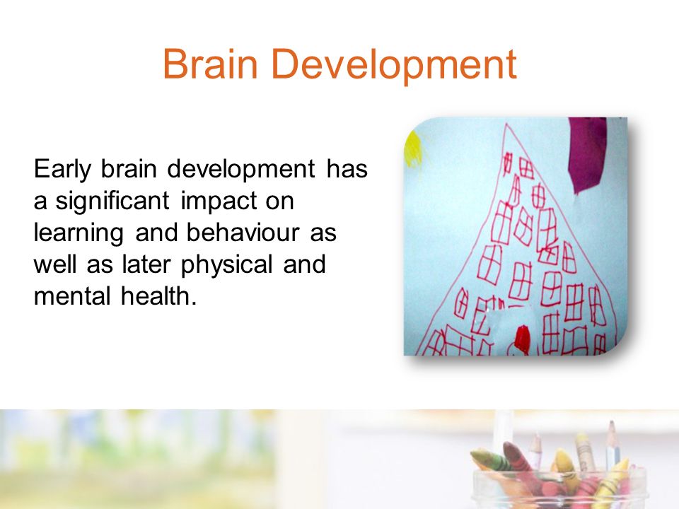 Early brain development has a significant impact on learning and behaviour as well as later physical and mental health.