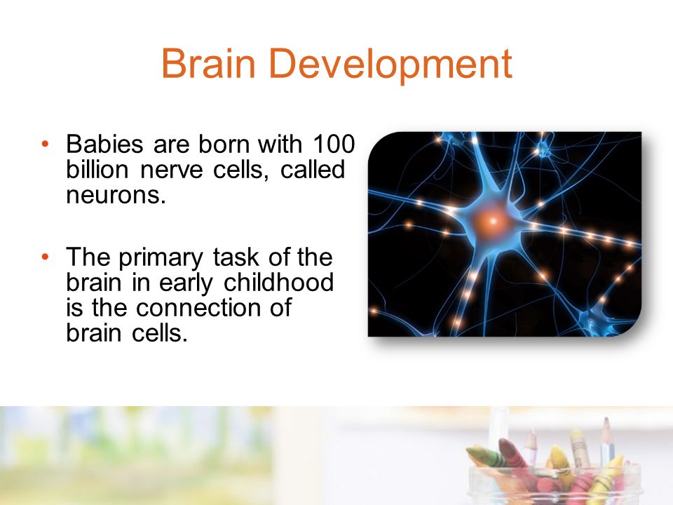 Babies are born with 100 billion nerve cells, called neurons.