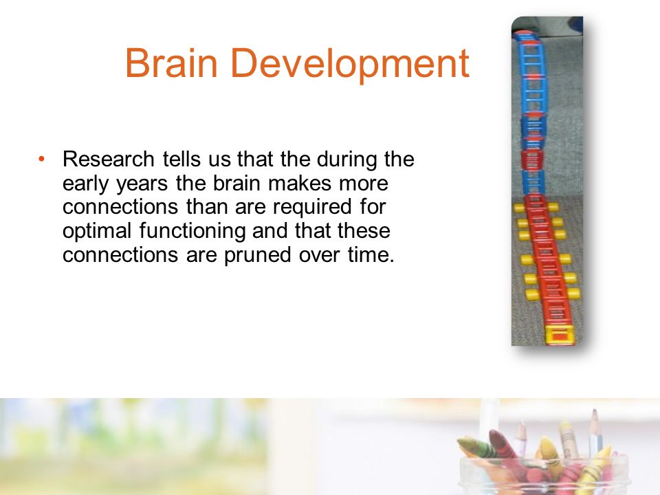 Research tells us that the during the early years the brain makes more connections than are required for optimal functioning and that these connections are pruned over time.