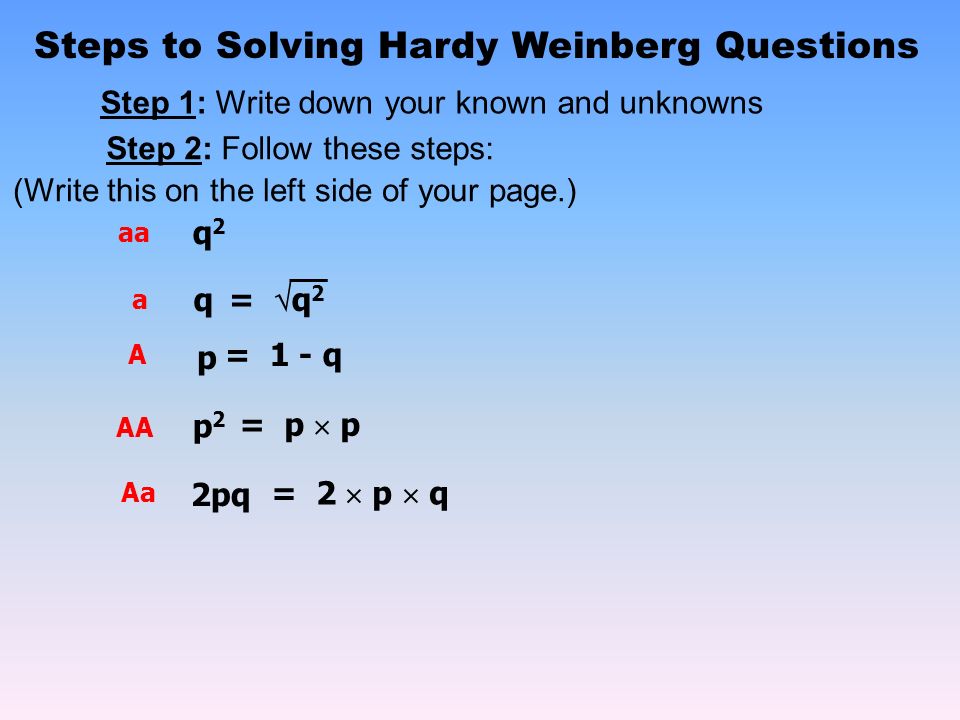 How To Solve Hardy Weinberg Equation Jennarocca How To Solve Hardy Weinberg Equation Jennarocca