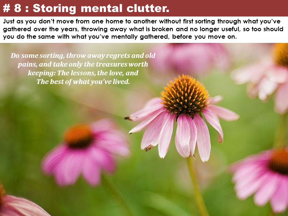 # 8 : Storing mental clutter.