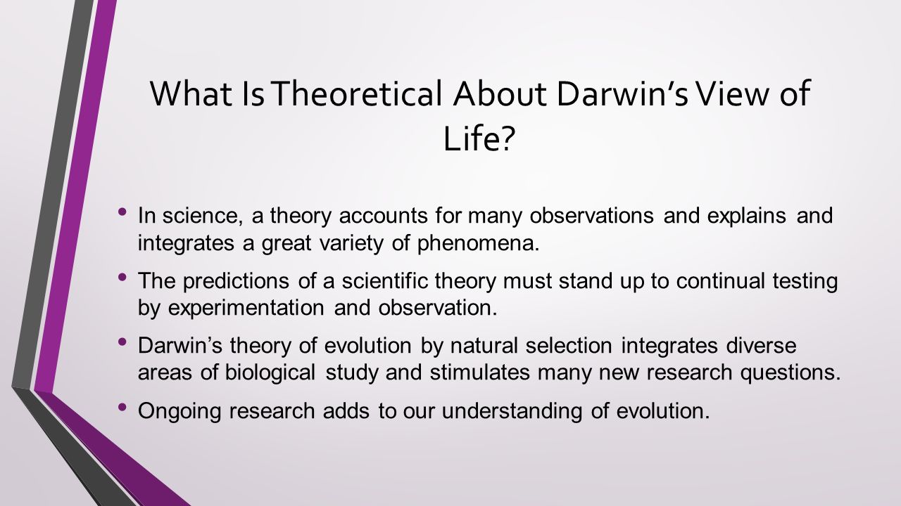an analysis and question on darwins theory of natural selection an analysis and question on darwins theory of natural selection