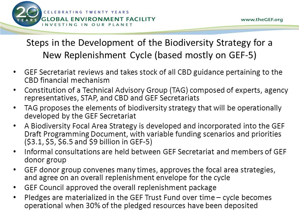Steps in the Development of the Biodiversity Strategy for a New Replenishment Cycle (based mostly on GEF-5) GEF Secretariat reviews and takes stock of all CBD guidance pertaining to the CBD financial mechanism Constitution of a Technical Advisory Group (TAG) composed of experts, agency representatives, STAP, and CBD and GEF Secretariats TAG proposes the elements of biodiversity strategy that will be operationally developed by the GEF Secretariat A Biodiversity Focal Area Strategy is developed and incorporated into the GEF Draft Programming Document, with variable funding scenarios and priorities ($3.1, $5, $6.5 and $9 billion in GEF-5) Informal consultations are held between GEF Secretariat and members of GEF donor group GEF donor group convenes many times, approves the focal area strategies, and agree on an overall replenishment envelope for the cycle GEF Council approved the overall replenishment package Pledges are materialized in the GEF Trust Fund over time – cycle becomes operational when 30% of the pledged resources have been deposited