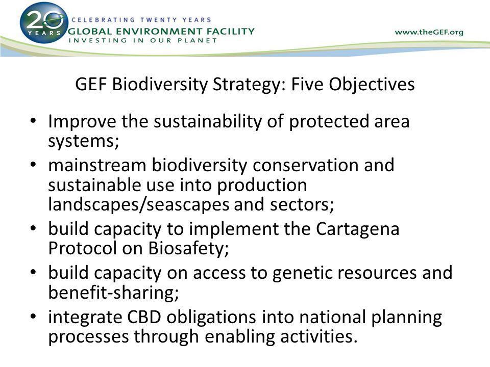 GEF Biodiversity Strategy: Five Objectives Improve the sustainability of protected area systems; mainstream biodiversity conservation and sustainable use into production landscapes/seascapes and sectors; build capacity to implement the Cartagena Protocol on Biosafety; build capacity on access to genetic resources and benefit-sharing; integrate CBD obligations into national planning processes through enabling activities.