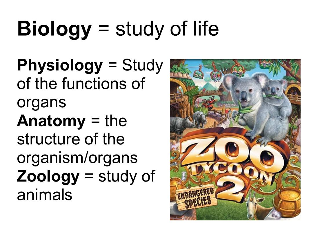 Biology = study of life Physiology = Study of the functions of organs Anatomy = the structure of the organism/organs Zoology = study of animals