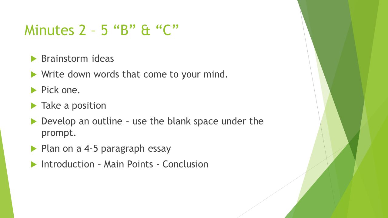 Essay Corrections