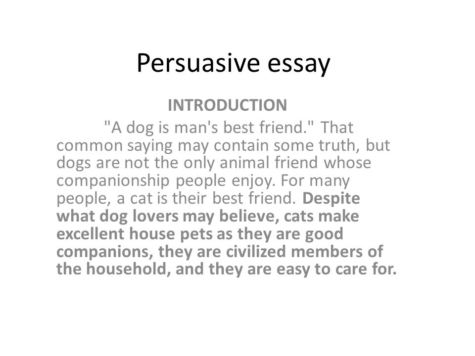 Compare and contrast dog and cat essay