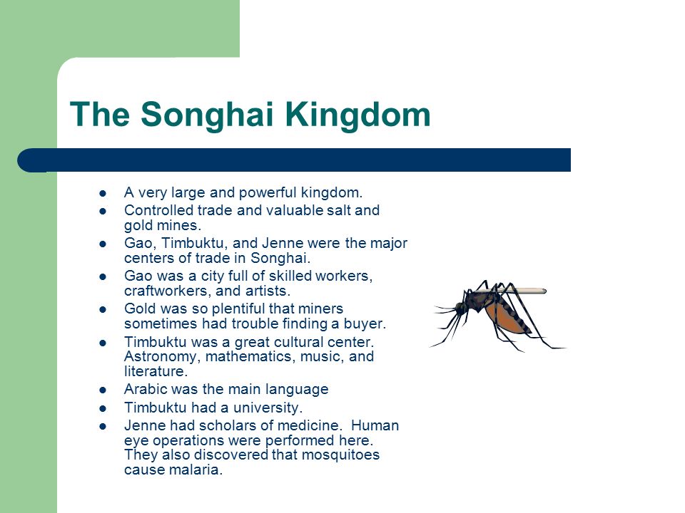 The Songhai Kingdom A very large and powerful kingdom.