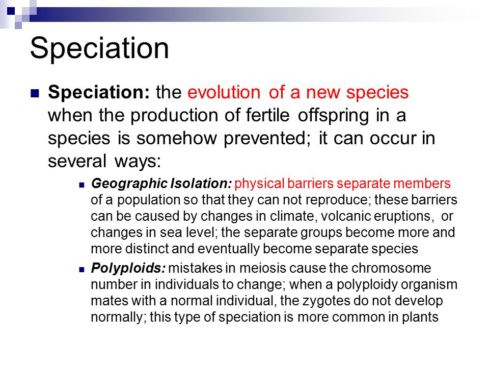 Speciation Speciation: the evolution of a new species when the production of fertile offspring in a species is somehow prevented; it can occur in several ways: Geographic Isolation: physical barriers separate members of a population so that they can not reproduce; these barriers can be caused by changes in climate, volcanic eruptions, or changes in sea level; the separate groups become more and more distinct and eventually become separate species Polyploids: mistakes in meiosis cause the chromosome number in individuals to change; when a polyploidy organism mates with a normal individual, the zygotes do not develop normally; this type of speciation is more common in plants