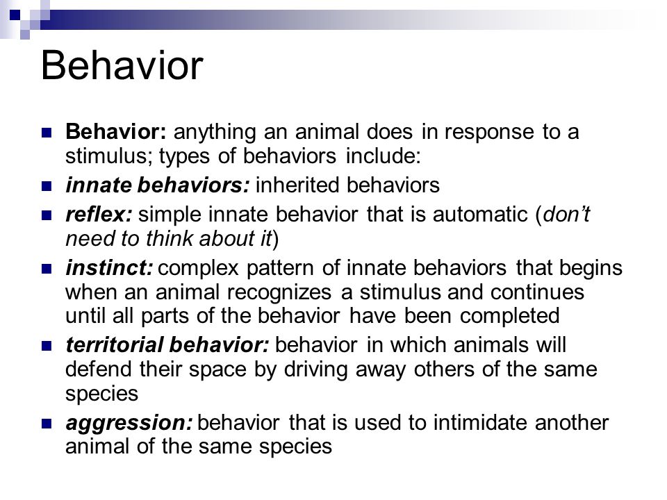 Behavior Behavior: anything an animal does in response to a stimulus; types of behaviors include: innate behaviors: inherited behaviors reflex: simple innate behavior that is automatic (don’t need to think about it) instinct: complex pattern of innate behaviors that begins when an animal recognizes a stimulus and continues until all parts of the behavior have been completed territorial behavior: behavior in which animals will defend their space by driving away others of the same species aggression: behavior that is used to intimidate another animal of the same species