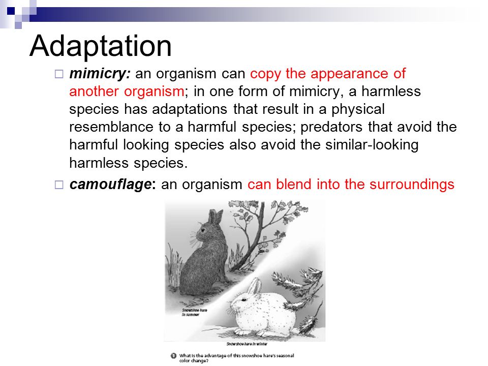 Adaptation  mimicry: an organism can copy the appearance of another organism; in one form of mimicry, a harmless species has adaptations that result in a physical resemblance to a harmful species; predators that avoid the harmful looking species also avoid the similar-looking harmless species.