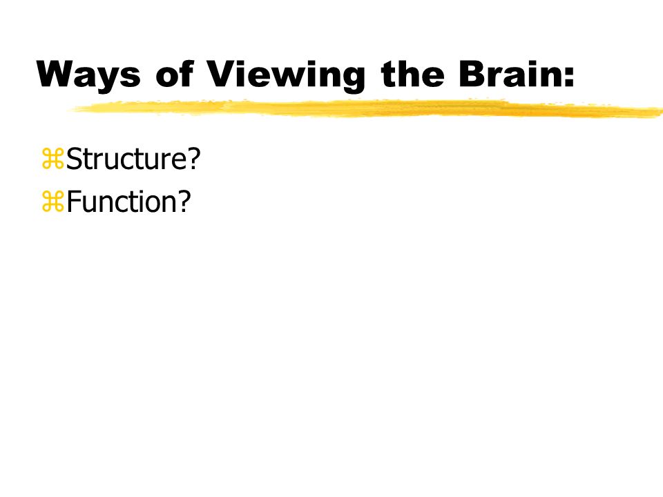 Ways of Viewing the Brain: zStructure zFunction