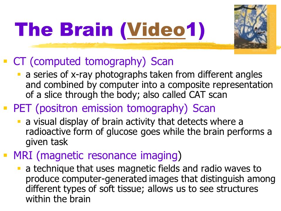 The Brain (Video1)Video  CT (computed tomography) Scan  a series of x-ray photographs taken from different angles and combined by computer into a composite representation of a slice through the body; also called CAT scan  PET (positron emission tomography) Scan  a visual display of brain activity that detects where a radioactive form of glucose goes while the brain performs a given task  MRI (magnetic resonance imaging)  a technique that uses magnetic fields and radio waves to produce computer-generated images that distinguish among different types of soft tissue; allows us to see structures within the brain