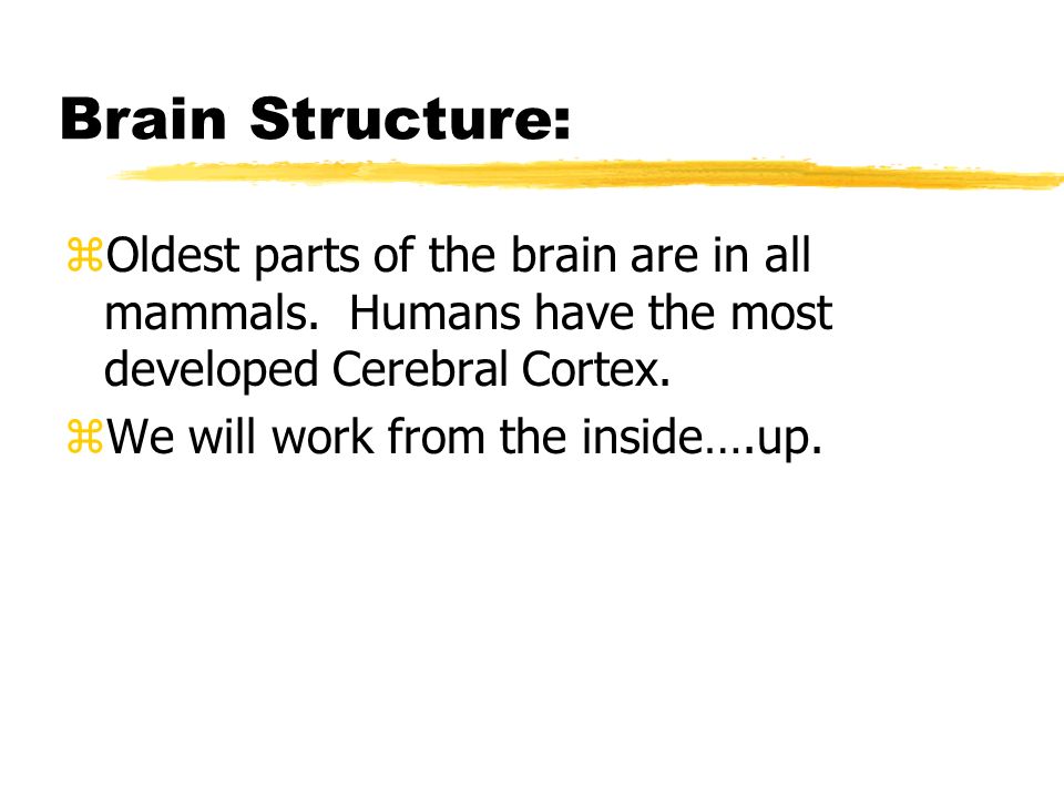 Brain Structure: zOldest parts of the brain are in all mammals.