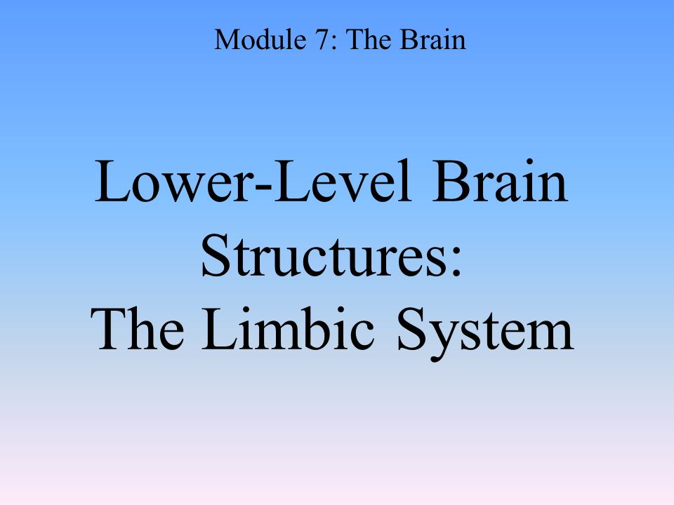Lower-Level Brain Structures: The Limbic System Module 7: The Brain